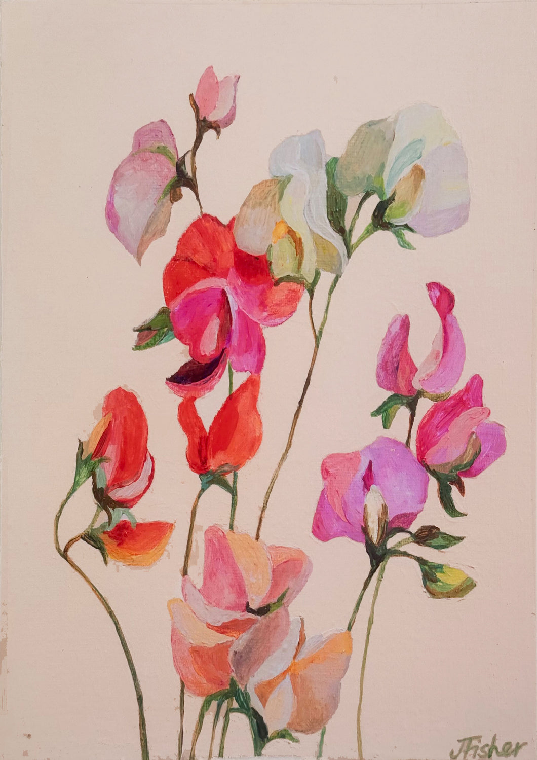 A3 Sweet pea on blush