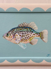 Load image into Gallery viewer, Spangled Perch on wooden frame - Original Artwork

