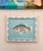 Load image into Gallery viewer, Spangled Perch on wooden frame - Original Artwork
