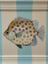 Load image into Gallery viewer, 'Spotty fish' Original artwork on up-cycled wooden frame
