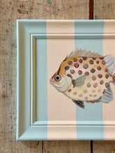 Load image into Gallery viewer, 'Spotty fish' Original artwork on up-cycled wooden frame
