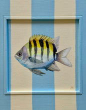 Load image into Gallery viewer, 'Sergeant Major fish' Original artwork on up-cycled wooden frame
