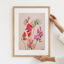 Load image into Gallery viewer, A3 Sweet pea on blush
