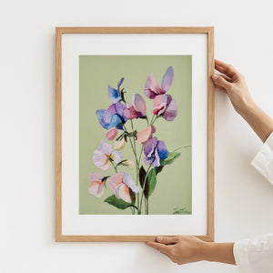 A3 Sweet pea on green
