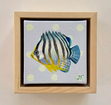 Load image into Gallery viewer, 'Mini Angel Fish ' Original artwork
