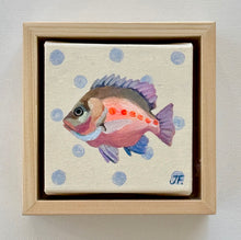 Load image into Gallery viewer, 'Mini Mangrove Jack ' Original artwork
