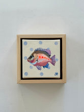 Load image into Gallery viewer, 'Mini Mangrove Jack ' Original artwork
