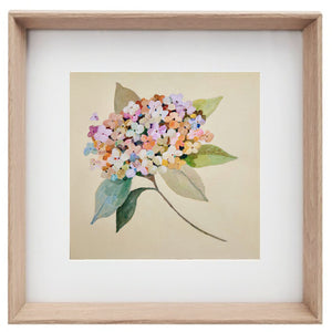 'Summer Hydrangea' mini- Giclee Fine Art Print