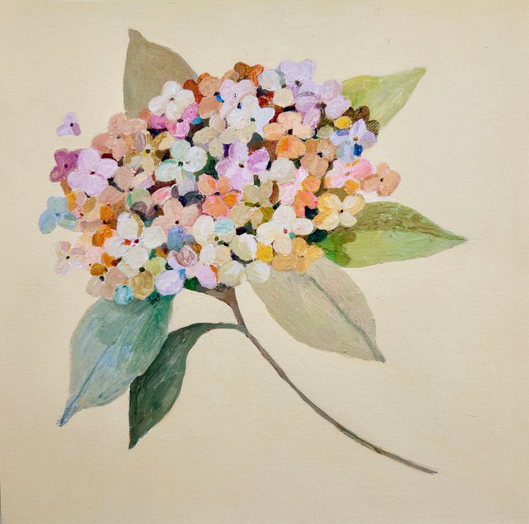 'Summer Hydrangea' mini- Giclee Fine Art Print