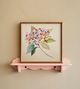 'Summer Hydrangea' mini- Giclee Fine Art Print